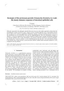 Strategies of the protozoan parasite Entamoeba histolytica to evade