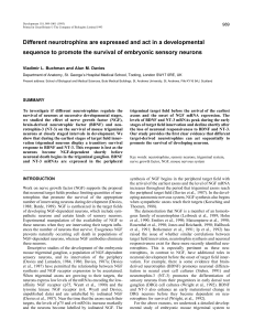 Different neurotrophins are expressed and act in a developmental