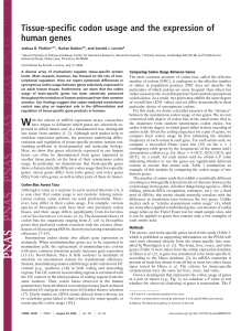 Tissue-specific codon usage and the expression of