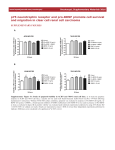p75 neurotrophin receptor and pro-BDNF promote cell survival and