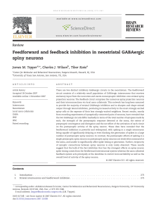 Feedforward and feedback inhibition in neostriatal GABAergic spiny