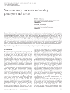 Somatosensory processes subserving perception and action