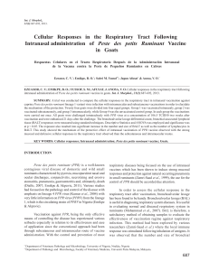 Cellular Responses in the Respiratory Tract Following