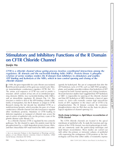 Stimulatory and Inhibitory Functions of the R Domain