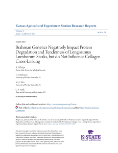 Brahman Genetics Negatively Impact Protein Degradation and