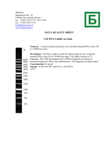 DATA QUALITY SHEET 1 kb DNA Ladder no stain