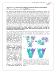 Structures of GRP94-Nucleotide Complexes Reveal Mechanistic