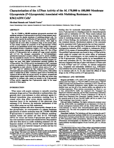 Characterization of the ATPase Activity of the Mr 170,000 to 180,000