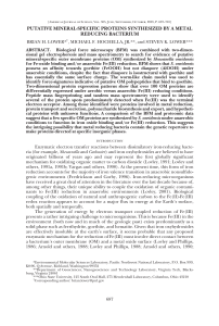 putative mineral-specific proteins synthesized by a