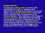 Innate immunity/ cont…II.Second line: 2.Phagocytosis: