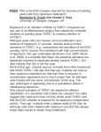 Why is the EGO complex required for recovery of budding yeast cells