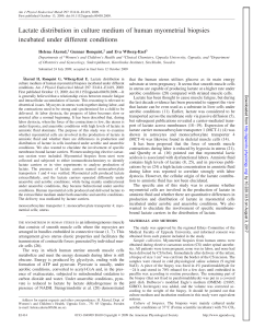 Lactate distribution in culture medium of human myometrial biopsies