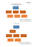 Appendix 4 Technical Team Structure