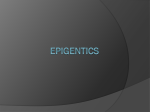 epigenome