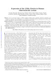 Expression of the LXR Protein in Human Atherosclerotic Lesions