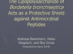 The Lipopolysaccharide of Bordetella bronchiseptica Ac