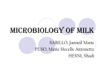 Result of microbial growth in milk