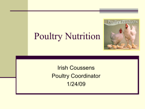 Poultry Nutrition - The University of Arizona Extension