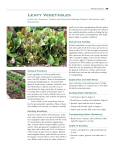 Leafy Vegetables - Penn State Extension