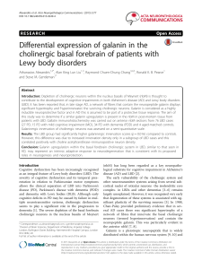 Differential expression of galanin in the cholinergic basal forebrain