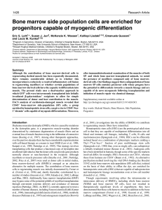 Bone marrow side population cells are enriched for progenitors