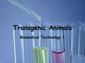 Transgenic Animals