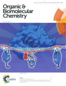 D-Isonucleotide (isoNA) incorporation around cleavage site of