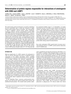 Determination of protein regions responsible for interactions of