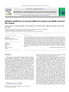 Biological significance of structural differences between two highly