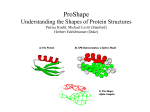 ProShape Understanding the Shapes of Protein Structures Patrice