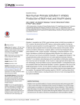 Non-human Primate Schlafen11 Inhibits Production of Both