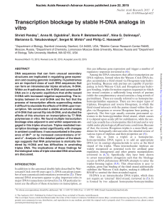 Transcription blockage by stable H-DNA analogs in