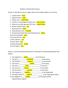 Chapter 2 Study Guide Answers Section 1: Identify the area or