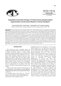 Capacitation-associated Changes in Protein