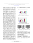 effect of osmolality and oxygen concentration on glycosaminoglycan