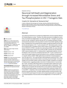 Neuronal Cell Death and Degeneration through Increased