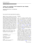 Change in the morphology of ZnO nanoparticles upon changing the