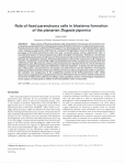 Role of fixed parenchyma cells in blastema formation of the