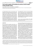 The G-protein regulator LGN modulates the activity of the NO