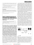 Role for a bidentate ribonuclease in the initiation step of RNA