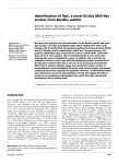 Identification of TIpC, a novel 62 kDa MCP