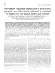 Myocardin regulates expression of contractile genes in smooth