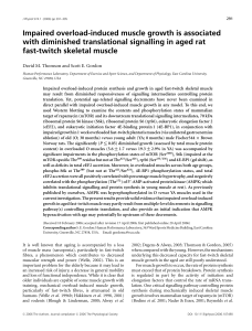 Impaired overload-induced muscle growth is associated with