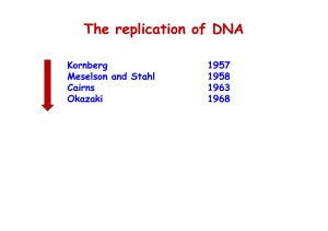 The replication of DNA