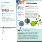 Cell Differentiation