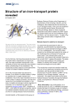 Structure of an iron-transport protein revealed