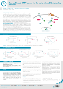 New cell-based HTRF® assays for the exploration of Wnt signaling