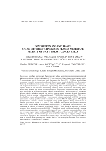 doxorubicin and paclitaxel cause different changes in plasma