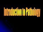 00.Introduction.Pathology2009-01-19 09:06143 KB