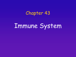 Chap 43 Immune Syst